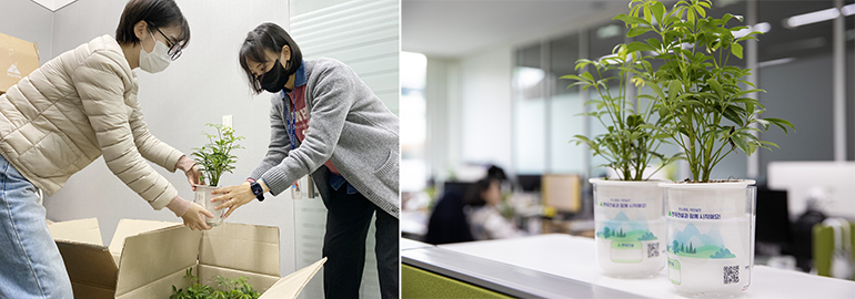 [탄소중립 선언 이벤트] 반려나무를 입양하면 숲이 생겨요!