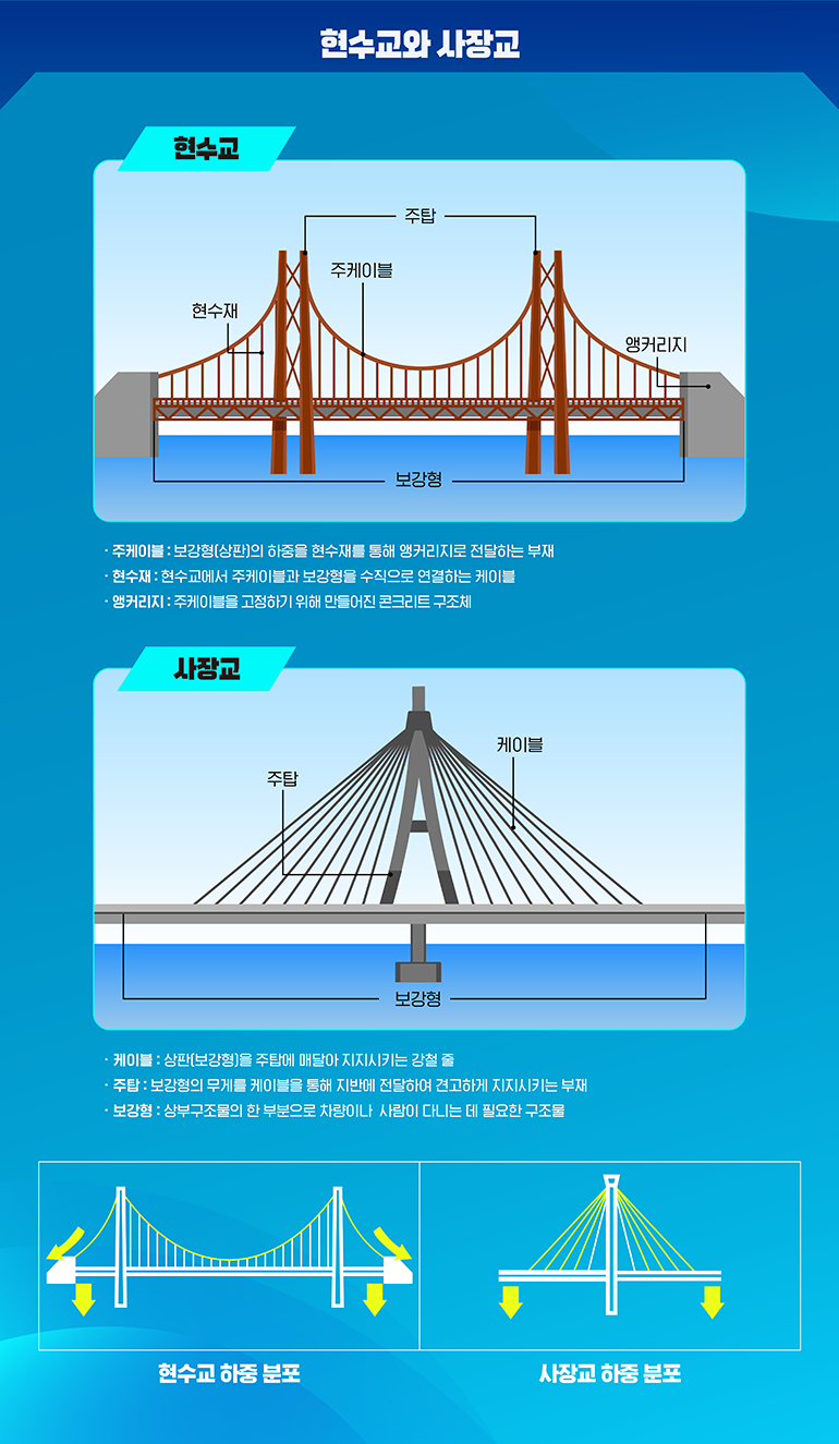 현수교와 사장교 현수교 주탑 주케이블 현수재 보강형 주케이블 : 보강형(상판)의 하중을 현수재를 통해 앵커리지로 전달하는 부재 현수재 : 현수교에서 주케이블과 보강형을 수직으로 연결하는 케이블 앵커리지 : 주케이블을 고정하기 위해 만들어진 콘크리트 구조체 사장교 케이블 주탑 보강형 ・케이블 : 상판[보강형]을 주탑에 매달아 지지시키는 강철 출 주탑 : 보강형의 무게를 케이블을 통해 지반에 전달하여 견고하게 지지시키는 부재 보강형 : 상부구조물의 한 부분으로 차량이나 사람이 다니는 데 필요한 구조물 앵커리지 현수교 하중 분포 사장교 하중 분포