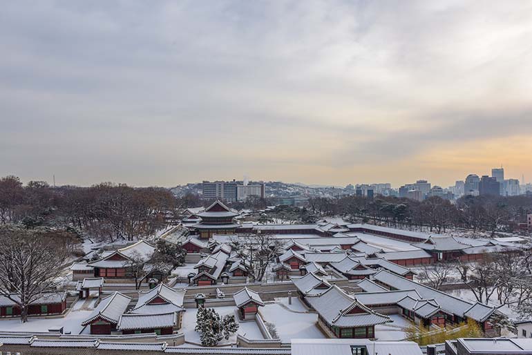 현대건설의 사옥 동측 휴게실에서 본 창덕궁의 전경