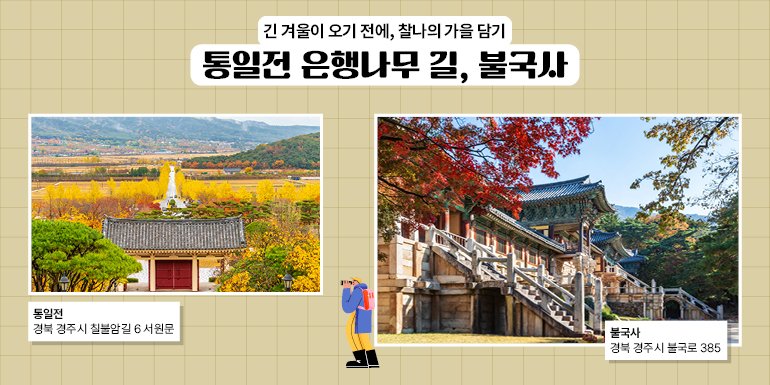 긴 겨울이 오기 전에, 찰나의 가을 담기  통일전 은행나무 길, 불국사  불국사  통일전  경북 경주시 칠불암길 6서원문  경북 경주시 불국로 385