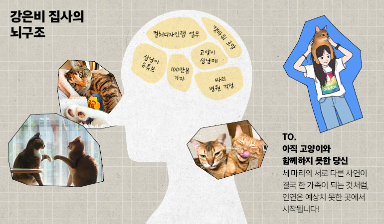 강은비 집사의 뇌구조 TO. 아직 고양이와 함께하지 못한 당신 세 마리의 서로 다른 사연이 결국 한 가족이 되는 것처럼, 인연은 예상치 못한 곳에서 시작됩니다!  강은비 집사의 뇌구조 ⦁고양이 삼남매 ⦁삼냥이 유튜브 추가 ⦁캣타워 로망 ⦁컬처디자인랩 업무 ⦁싸리 병원 걱정 ⦁100만뷰 가자 추가