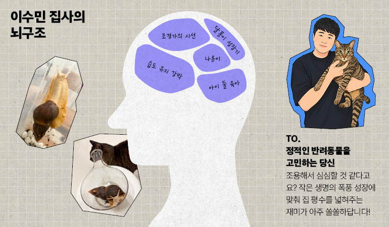 이수민 집사의 뇌구조 TO. 정적인 반려동물을 고민하는 당신 조용해서 심심할 것 같다고요? 작은 생명의 폭풍 성장에 맞춰 집 평수를 넓혀주는 재미가 아주 쏠쏠하답니다!  이수민 집사의 뇌구조 달퐁이 성장기 조경가의 시선 아이 둘 육아 습도 유지 강박 나옹이