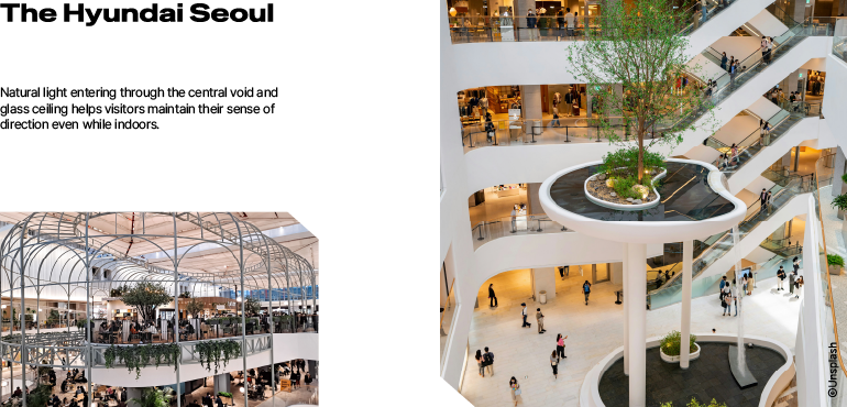 Natural light entering through the central void and glass ceiling helps visitors maintain their sense of direction even while indoors.