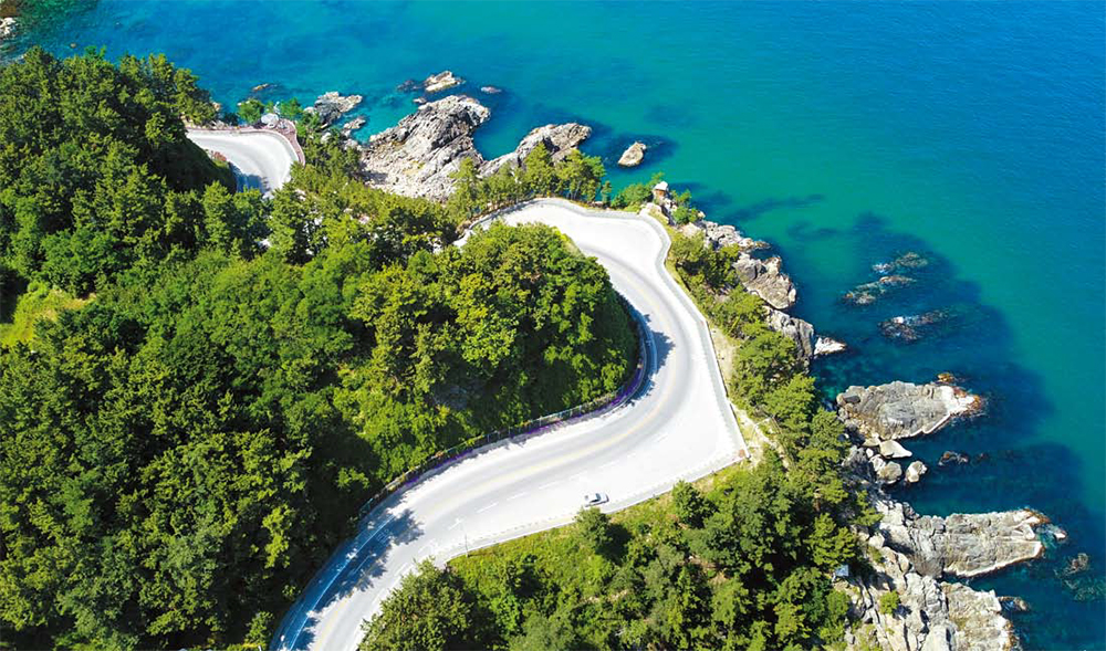 슬기로운 언택트 여행